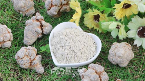 哪家三七好